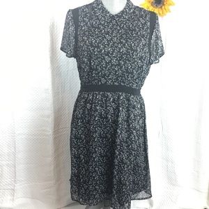 Modcloth Lace & Mesh black floral dress. Size L